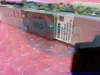 Picture of S50010-M1296-A101