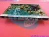 图片 ROF1371060/1 R3B-REF