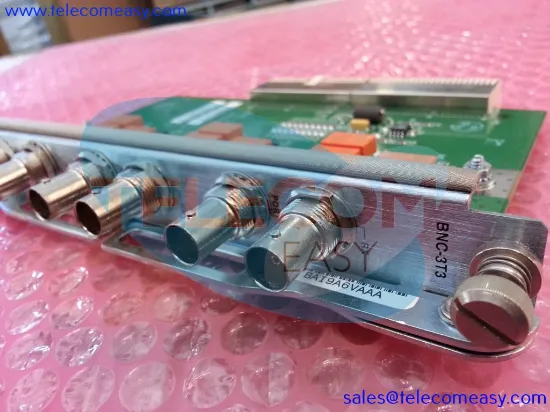 Bild von MGX-BNC-3T3-REF